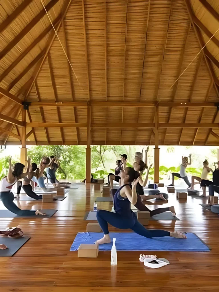 profesor de meditación india